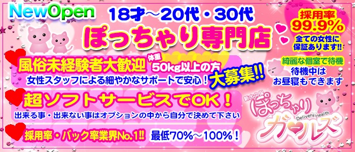 ぽっちゃりガールズ