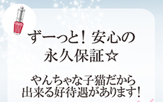 やんちゃな子猫のLINE応募・その他(仕事のイメージなど)