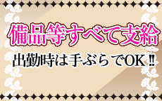 岩手人妻熟女デリヘル プレイシスのLINE応募・その他(仕事のイメージなど)