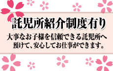 どすけべ奥さんのお店のロゴ・ホームページのイメージなど