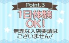 青いりんごのLINE応募・その他(仕事のイメージなど)