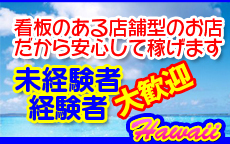 蒲田ハワイのお店のロゴ・ホームページのイメージなど