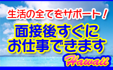 蒲田ハワイのLINE応募・その他(仕事のイメージなど)