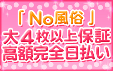 LOVE LAND～ラブランド～のLINE応募・その他(仕事のイメージなど)