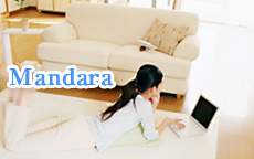 Mandara～マンダラ～のお店のロゴ・ホームページのイメージなど