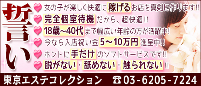 東京エステコレクション