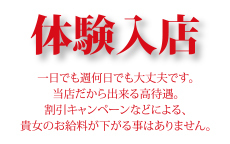 なでし娘のお店のロゴ・ホームページのイメージなど