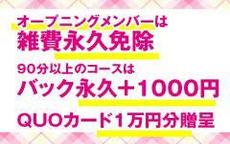 浜松しろうと派遣隊のお店のロゴ・ホームページのイメージなど