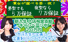 キャンパスNightのお店のロゴ・ホームページのイメージなど