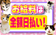 キティーズテラス 渋谷店のLINE応募・その他(仕事のイメージなど)