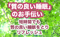 そいねの森 秋葉原店のお店のロゴ・ホームページのイメージなど