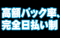 Lady's CollectionのLINE応募・その他(仕事のイメージなど)