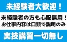 錦糸町 ぽちゃカワ女子専門店のLINE応募・その他(仕事のイメージなど)